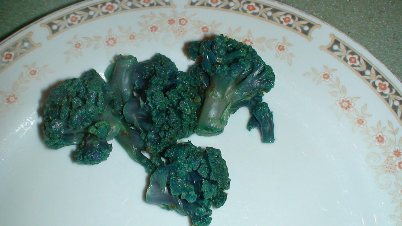 DSC01850.JPG