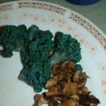 DSC01854.JPG