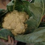 DSC01711.JPG