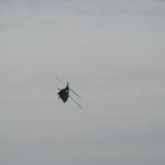 DSC01909.JPG