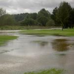14th green.jpg