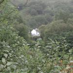 P1010022.JPG