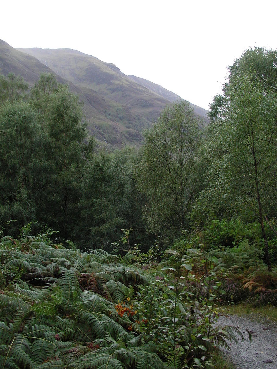 P1010058.JPG
