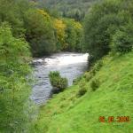 DSCN0351.JPG