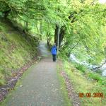 DSCN0364.JPG