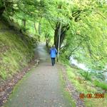 DSCN0365.JPG