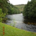 DSCN0366.JPG