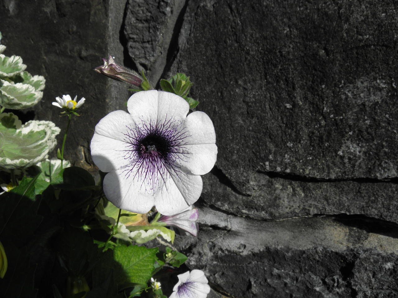 P9081267.JPG