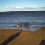 PICT0990.JPG