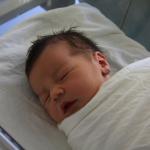 Tom 1 day old