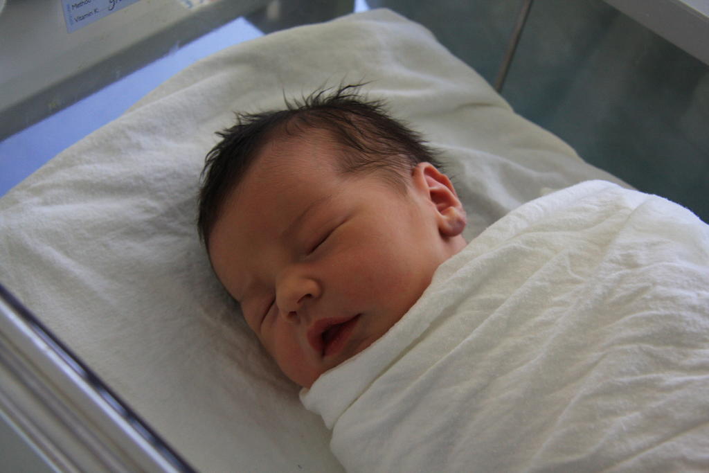 Tom 1 day old