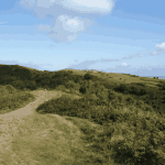 facing-north