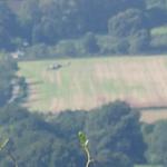 DSC01420a