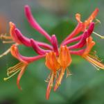 DSC01651a