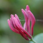 DSC01654a