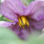 DSC01558a
