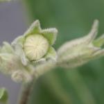 DSC01560a