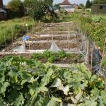 Cleared 6 out of 8 beds today