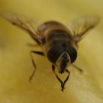 DSC01693a