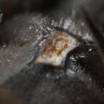 DSC01822a