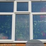 chilli jungle in the back bedroom