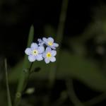DSC_5221-01