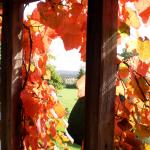 Chirk 024