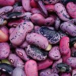 Runner beans