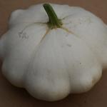 Custard White patty pan