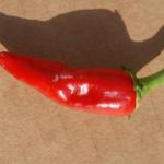 Cayenne 3