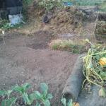 091004_OnionBed