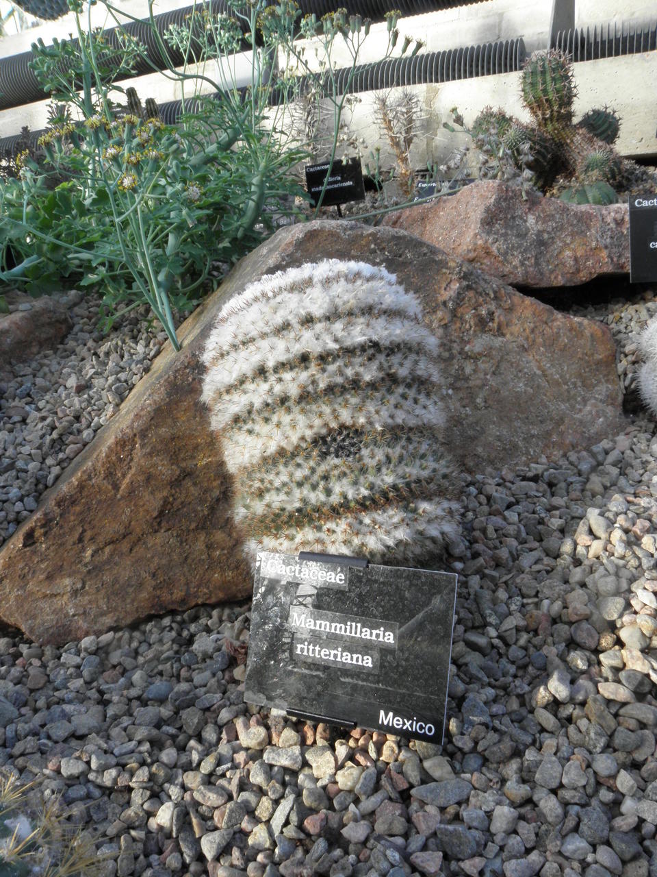 PB121603.JPG