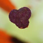 DSC02292a