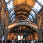 Natural History Museum 1