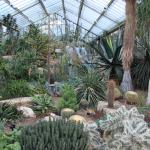 Cactus House Kew