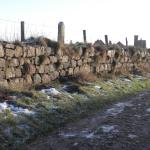 PC261735.JPG