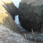 PC261737.JPG