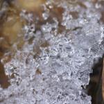 DSC02546a