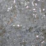 DSC02569a