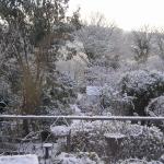 Snow 2.1.2010 001