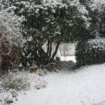 Christmas 09 350