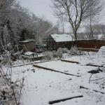 Christmas 09 360