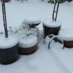 DSCF2849