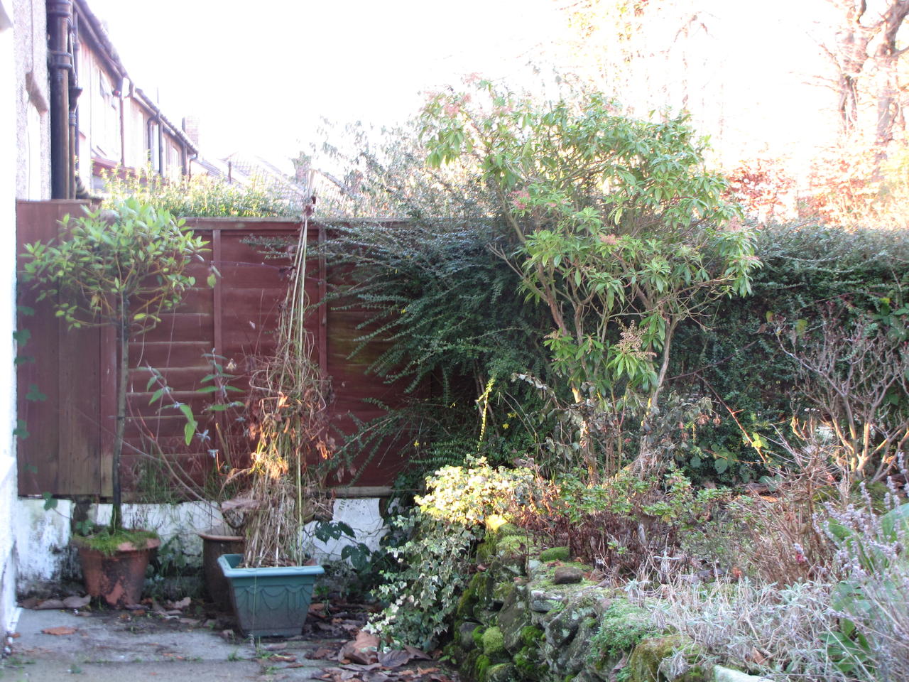 Looking along the back of the house from back door