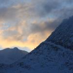 Bristly Ridge