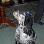 20091225_0013.jpg