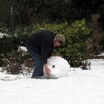 Snowball