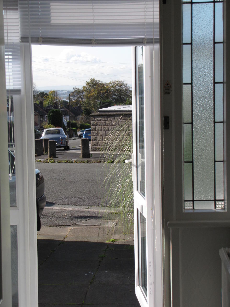 Through the front door with pampas