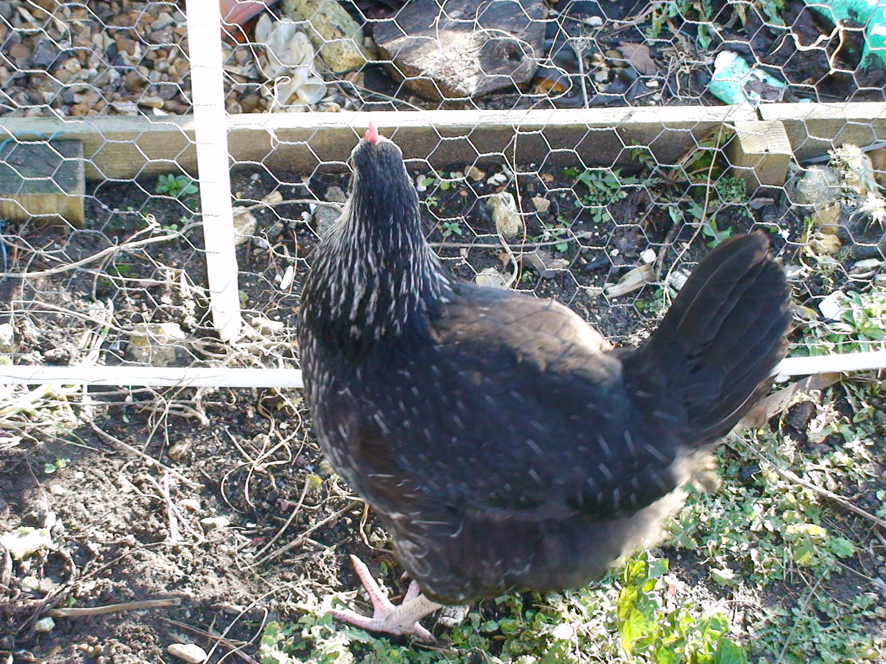 DSC02437.JPG