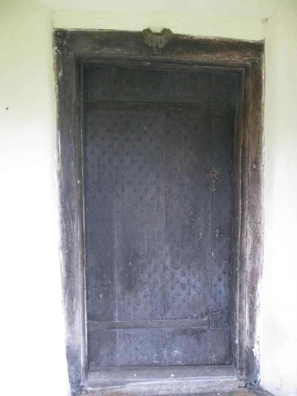 Front Door with Swallow's Nest